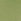 Schilf